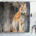 Ambesonne Zoo Shower Curtain, Bengal Tiger Feline Predator Aggressive Hunter Carnivore Africa Savannah, Cloth Fabric Bathroom Decor Set with Hooks, 69" W x 75" L, Pale Brown White Black