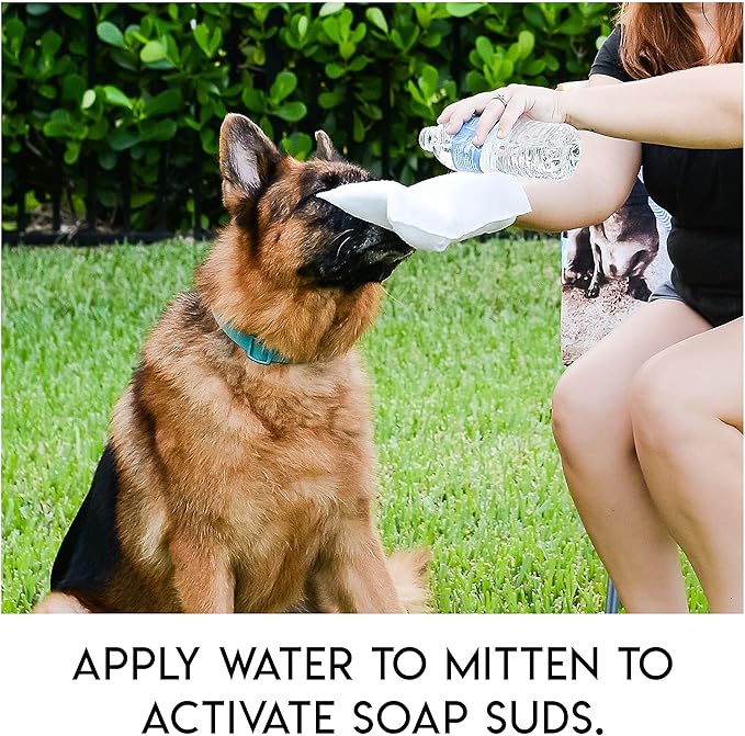 No Rinse Pet Wipes | Rinse Free Shampoo Mittens | Dogs & Cats | Bath Wipes - Bathing & Washing Pets, Hypoallergenic | No Rinse Wash Mitt | Grooming, Lather Wipe Dry - Pack of 10